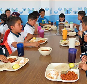 AVI Servicios Alimentarios