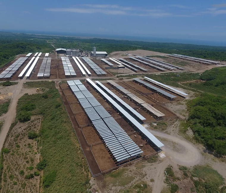 10,700 cabezas de ganado aunado al proyecto de crecimiento